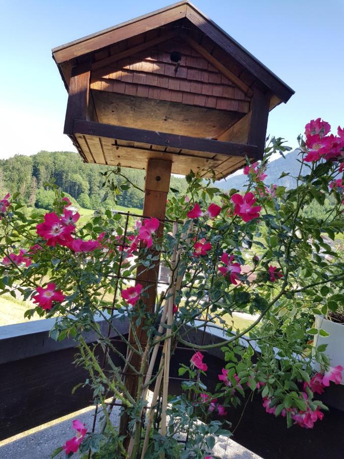 Dreamlandranch Vorarlberg Apartment Schlins Exterior photo